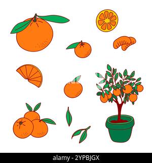 Clipart-Set aus Zitrusfrüchten. Orangenbaum, Mandarine, Clementine, Blätter. Stock Vektor