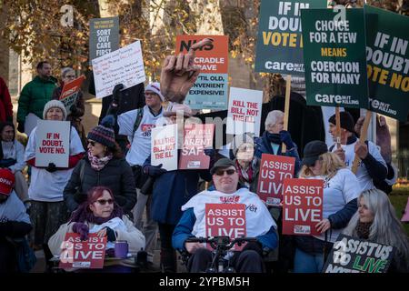 London, Großbritannien. November 2024. Unterstützung von Protesten vor Parlamentsgebäuden (Bild: Anti-Bill-Demonstranten). Die MPS werden heute in einem vollen Unterhaus fünf Stunden ernsthafter Debatte geben, um später über ein historisches Gesetz zur Legalisierung von Sterbehilfe abzustimmen. Der Gesetzentwurf steht einer „freien Abstimmung“ offen, was bedeutet, dass die Parteipeitschen nicht vorschreiben, ob sie den Gesetzentwurf unterstützen oder ablehnen sollen. Guy Corbishley/Alamy Live News Stockfoto