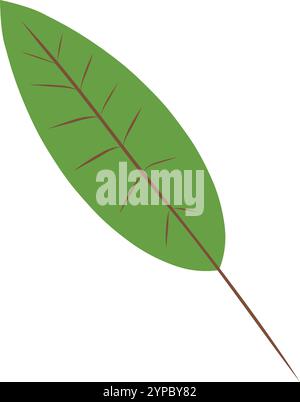 Blatt für die Weihnachtszeit. Herbstdankbarkeit Einfaches Thanksgiving Blatt. Goldenes und grünes Eichenblatt. Ein Thanksgiving-Symbol. Erntevorbereitung Eleganz An Thanksgiving Stock Vektor