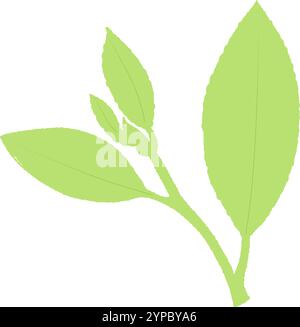 Blatt für die Weihnachtszeit. Herbstdankbarkeit Einfaches Thanksgiving Blatt. Goldenes und grünes Eichenblatt. Ein Thanksgiving-Symbol. Eleganz Der Ernte Stock Vektor