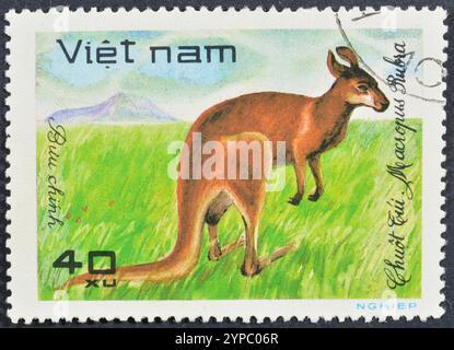 Gestempelte Briefmarke, gedruckt von Vietnam, die Rotes Känguru (Macropus rufus) zeigt, um 1991. Stockfoto