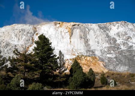 Eine aktive Geysirquelle mit einem periodischen Abfluss von Wasser, das turbulent und mit Dampf begleitet wird, im Yellowstone-Nationalpark, USA Stockfoto