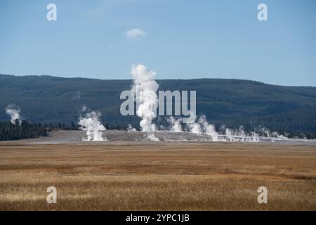 Eine aktive Geysirquelle mit einem periodischen Abfluss von Wasser, das turbulent und mit Dampf begleitet wird, im Yellowstone-Nationalpark, USA Stockfoto