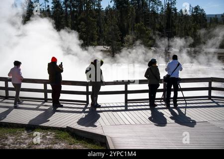 Eine aktive Geysirquelle mit einem periodischen Abfluss von Wasser, das turbulent und mit Dampf begleitet wird, im Yellowstone-Nationalpark, USA Stockfoto