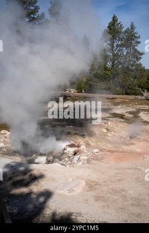 Eine aktive Geysirquelle mit einem periodischen Abfluss von Wasser, das turbulent und mit Dampf begleitet wird, im Yellowstone-Nationalpark, USA Stockfoto