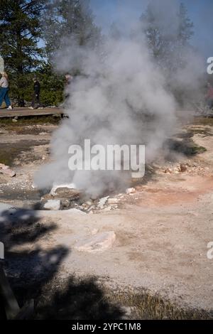 Eine aktive Geysirquelle mit einem periodischen Abfluss von Wasser, das turbulent und mit Dampf begleitet wird, im Yellowstone-Nationalpark, USA Stockfoto