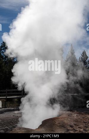 Eine aktive Geysirquelle mit einem periodischen Abfluss von Wasser, das turbulent und mit Dampf begleitet wird, im Yellowstone-Nationalpark, USA Stockfoto