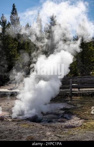 Eine aktive Geysirquelle mit einem periodischen Abfluss von Wasser, das turbulent und mit Dampf begleitet wird, im Yellowstone-Nationalpark, USA Stockfoto