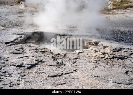 Eine aktive Geysirquelle mit einem periodischen Abfluss von Wasser, das turbulent und mit Dampf begleitet wird, im Yellowstone-Nationalpark, USA Stockfoto