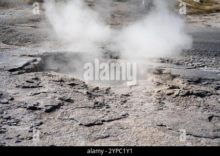 Eine aktive Geysirquelle mit einem periodischen Abfluss von Wasser, das turbulent und mit Dampf begleitet wird, im Yellowstone-Nationalpark, USA Stockfoto