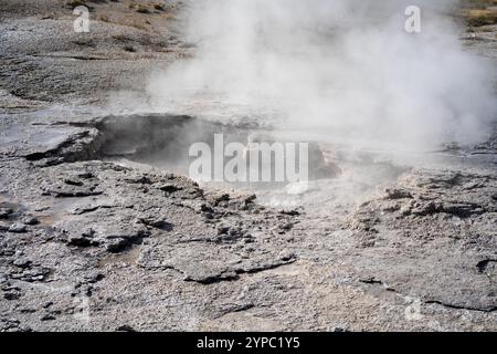 Eine aktive Geysirquelle mit einem periodischen Abfluss von Wasser, das turbulent und mit Dampf begleitet wird, im Yellowstone-Nationalpark, USA Stockfoto