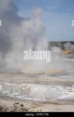 Eine aktive Geysirquelle mit einem periodischen Abfluss von Wasser, das turbulent und mit Dampf begleitet wird, im Yellowstone-Nationalpark, USA Stockfoto