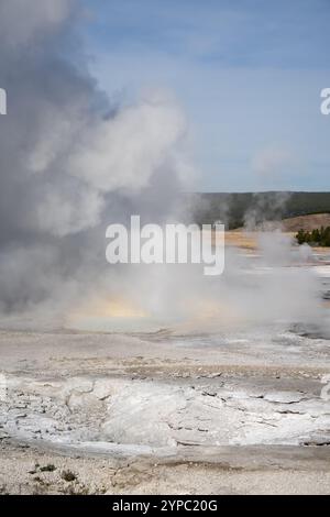 Eine aktive Geysirquelle mit einem periodischen Abfluss von Wasser, das turbulent und mit Dampf begleitet wird, im Yellowstone-Nationalpark, USA Stockfoto