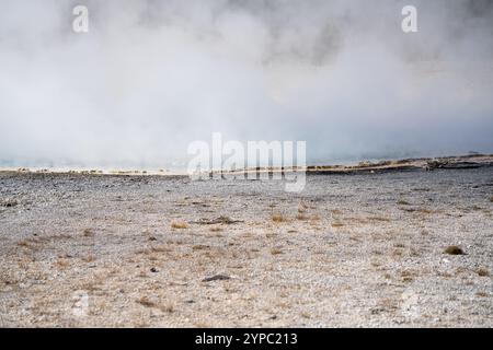 Eine aktive Geysirquelle mit einem periodischen Abfluss von Wasser, das turbulent und mit Dampf begleitet wird, im Yellowstone-Nationalpark, USA Stockfoto