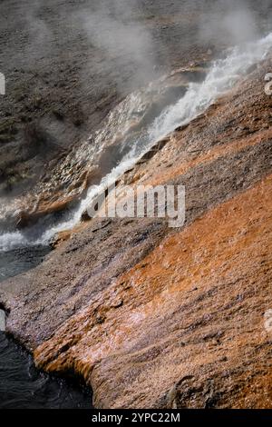 Eine aktive Geysirquelle mit einem periodischen Abfluss von Wasser, das turbulent und mit Dampf begleitet wird, im Yellowstone-Nationalpark, USA Stockfoto