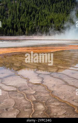 Eine aktive Geysirquelle mit einem periodischen Abfluss von Wasser, das turbulent und mit Dampf begleitet wird, im Yellowstone-Nationalpark, USA Stockfoto