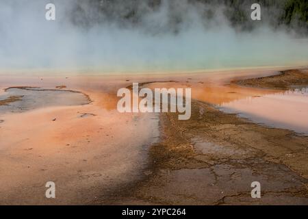 Eine aktive Geysirquelle mit einem periodischen Abfluss von Wasser, das turbulent und mit Dampf begleitet wird, im Yellowstone-Nationalpark, USA Stockfoto