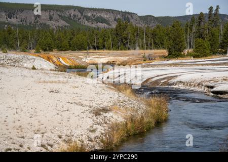 Eine aktive Geysirquelle mit einem periodischen Abfluss von Wasser, das turbulent und mit Dampf begleitet wird, im Yellowstone-Nationalpark, USA Stockfoto