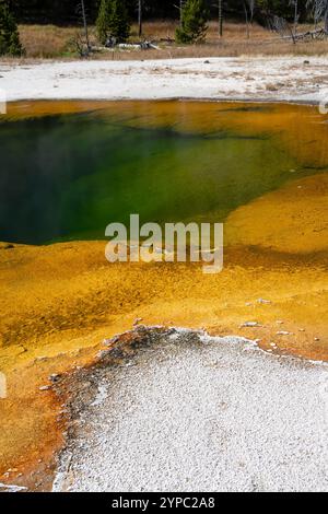Eine aktive Geysirquelle mit einem periodischen Abfluss von Wasser, das turbulent und mit Dampf begleitet wird, im Yellowstone-Nationalpark, USA Stockfoto