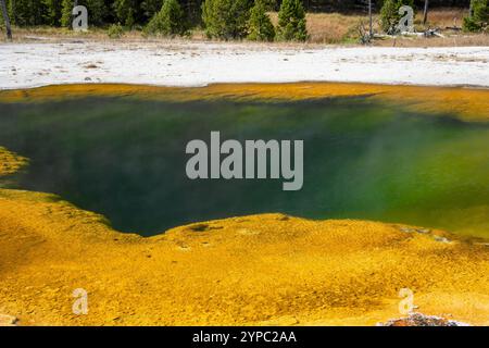 Eine aktive Geysirquelle mit einem periodischen Abfluss von Wasser, das turbulent und mit Dampf begleitet wird, im Yellowstone-Nationalpark, USA Stockfoto