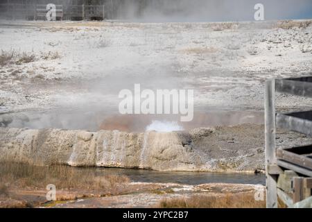 Eine aktive Geysirquelle mit einem periodischen Abfluss von Wasser, das turbulent und mit Dampf begleitet wird, im Yellowstone-Nationalpark, USA Stockfoto