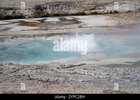 Eine aktive Geysirquelle mit einem periodischen Abfluss von Wasser, das turbulent und mit Dampf begleitet wird, im Yellowstone-Nationalpark, USA Stockfoto