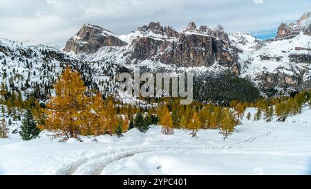 Die Dolomiten erheben sich majestätisch im Hintergrund, ihre schneebedeckten Hänge bilden einen wunderschönen Kontrast zu den feurigen Orangentönen der Herbstbäume in der Stockfoto