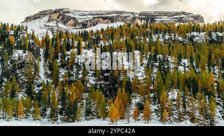 Die majestätischen Gipfel der Dolomiten ragen über einen farbenfrohen Vorboden von Herbstbäumen hinaus, deren schneebedeckte Hänge eine perfekte jahreszeitliche Balance schaffen Stockfoto