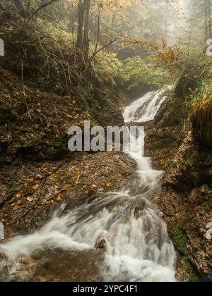 Der Wasserfall fließt sanft durch den nebeligen, herbstfarbenen Wald von Rocca Pietore, der in langer Belichtung festgehalten wird und eine traumhafte, ruhige Szene schafft, wo Stockfoto