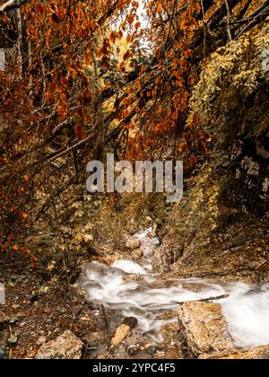 Der Wasserfall von Rocca Pietore fließt mit Anmut, umgeben von lebhaften Herbsttönen, die die Bewegung des Wassers beim Kaskadieren durch t mildern Stockfoto