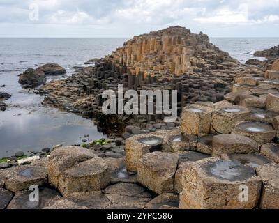 Giants Causeway, County Antrim, Nordirland Stockfoto