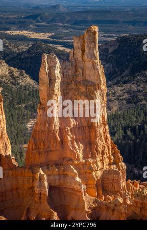 Besucher bestaunen die atemberaubenden Hoodoo-Felsformationen im Bryce Canyon National Park, umgeben von weitläufigen Wüstenlandschaften und malerischen Ausblicken. Stockfoto