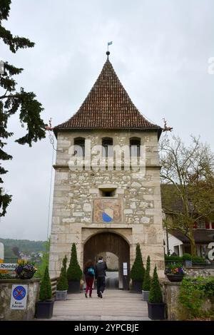 Schloss Laufen, Schloss Laufen, Rheinfall bei Schaffhausen, Rheinfall, Schweiz, Schweiz, Suisse, Svájc, Europa Stockfoto