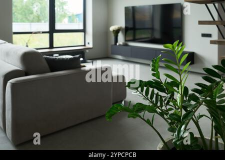 Modernes Wohnzimmer mit großem Fenster, Fernseher an der Wand und komfortabler Couch. Die Einrichtung ist mit Topfpflanzen und weichen Möbeln eingerichtet und sorgt für eine gemütliche Atmosphäre Stockfoto