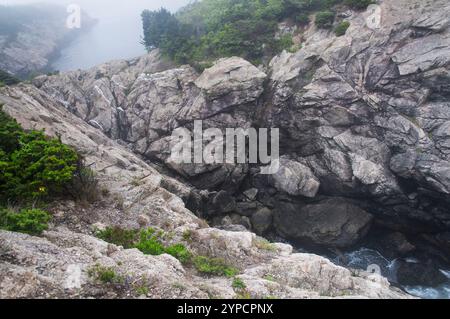 Die nebelige Küste im Fort Wetherill State Park in Jamestown, Rhode Island. Stockfoto