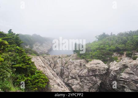 Die nebelige Küste im Fort Wetherill State Park in Jamestown, Rhode Island. Stockfoto