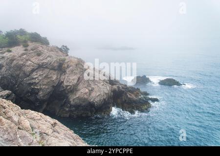 Die nebelige Küste im Fort Wetherill State Park in Jamestown, Rhode Island. Stockfoto