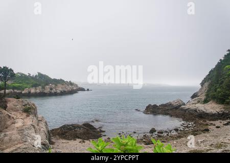 Die nebelige Küste im Fort Wetherill State Park in Jamestown, Rhode Island. Stockfoto