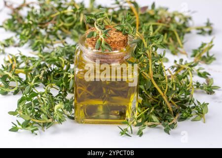 Flasche ätherisches Thymianöl mit frischem Thymian Stockfoto