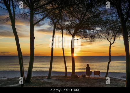 Einsamer Sandstrand und Kiefernwald, Spiaggia di Isula Manna, Sonnenaufgang, Santa Maria Navarrese, Nationalpark Golf von Orosei, Baunei, Nuoro, Sardinien, IT Stockfoto