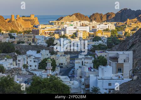 Blick auf die Altstadt von Muscat, hinter dem Al Jalali Fort, Muscat, Arabische Halbinsel, Sultanat Oman Stockfoto