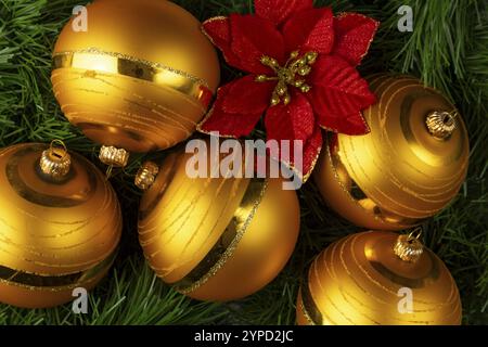 Goldene Weihnachtskugeln neben einer roten Blume auf einer grünen Tanne Stockfoto