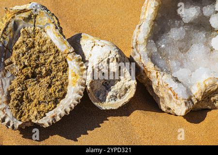 Rudisten, röhrenförmige fossile Muscheln, Huqf felsige Wüste, Arabische Halbinsel, Sultanat Oman Stockfoto