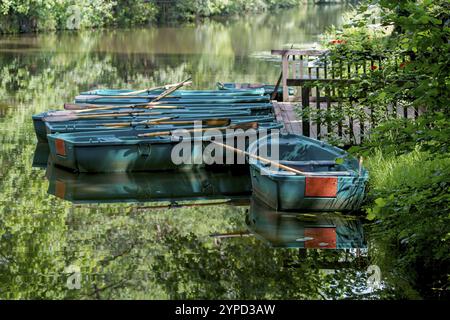 Grüne Ruderboote liegen entlang eines ruhigen Flusses auf einem Holzsteg, umgeben von üppiger Vegetation, Fluss Alstaetter AA, Ahaus-Alstaette, Münsterland Stockfoto