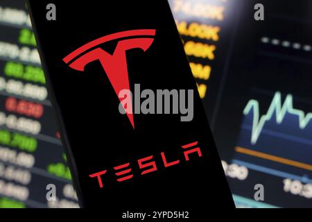 Juni 2024, Brasilien. In dieser Abbildung wird das Logo von Tesla, Inc. Auf einem Smartphone-Bildschirm angezeigt Stockfoto