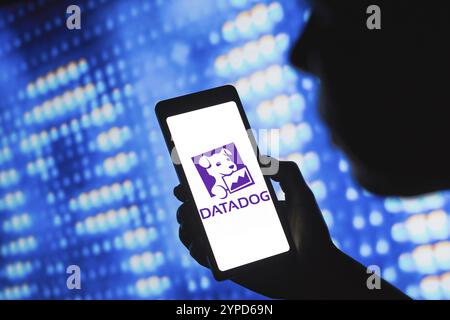 Juni 2024, Brasilien. In dieser Abbildung wird das Datadog, Inc.-Logo auf einem Smartphone-Bildschirm angezeigt Stockfoto