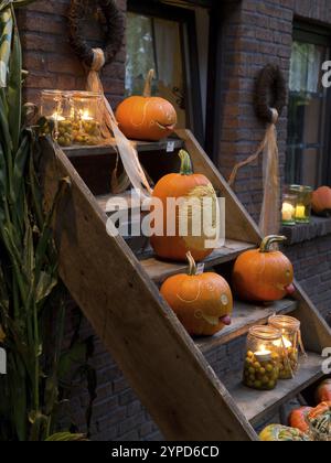 Kürbisse auf Holztreppen vor einem mit Kerzen geschmückten Haus, borken, münsterland, deutschland Stockfoto