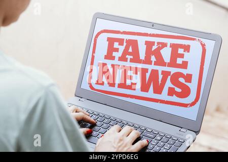 Januar 2024, Brasilien. In dieser Abbildung wird der Fake News-Text auf einem Laptop-Bildschirm angezeigt. Fake News sind falsche Informationen vorhanden Stockfoto