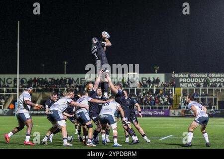 Newcastle upon Tyne, Großbritannien. November 2024. #5, Sebastian de Chaves von Newcastle Falcons steht am 29. November 2024 in Kingston Park, Newcastle upon Tyne, Großbritannien, für den Ball auf. Foto von Stuart Leggett. Nur redaktionelle Verwendung, Lizenz für kommerzielle Nutzung erforderlich. Keine Verwendung bei Wetten, Spielen oder Publikationen eines einzelnen Clubs/einer Liga/eines Spielers. Quelle: UK Sports Pics Ltd/Alamy Live News Stockfoto
