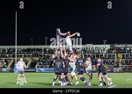 Newcastle upon Tyne, Großbritannien. November 2024. #5, Sebastian de Chaves von Newcastle Falcons und #4, Theo McFarland von Saracens kämpfen am 29. November 2024 im Gallagher Premiership Rugby-Spiel zwischen Newcastle Falcons und Saracens im Kingston Park, Newcastle upon Tyne, Großbritannien. Foto von Stuart Leggett. Nur redaktionelle Verwendung, Lizenz für kommerzielle Nutzung erforderlich. Keine Verwendung bei Wetten, Spielen oder Publikationen eines einzelnen Clubs/einer Liga/eines Spielers. Quelle: UK Sports Pics Ltd/Alamy Live News Stockfoto